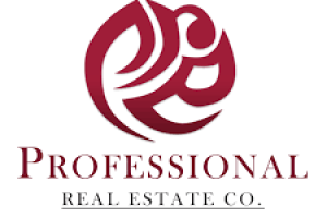 professional